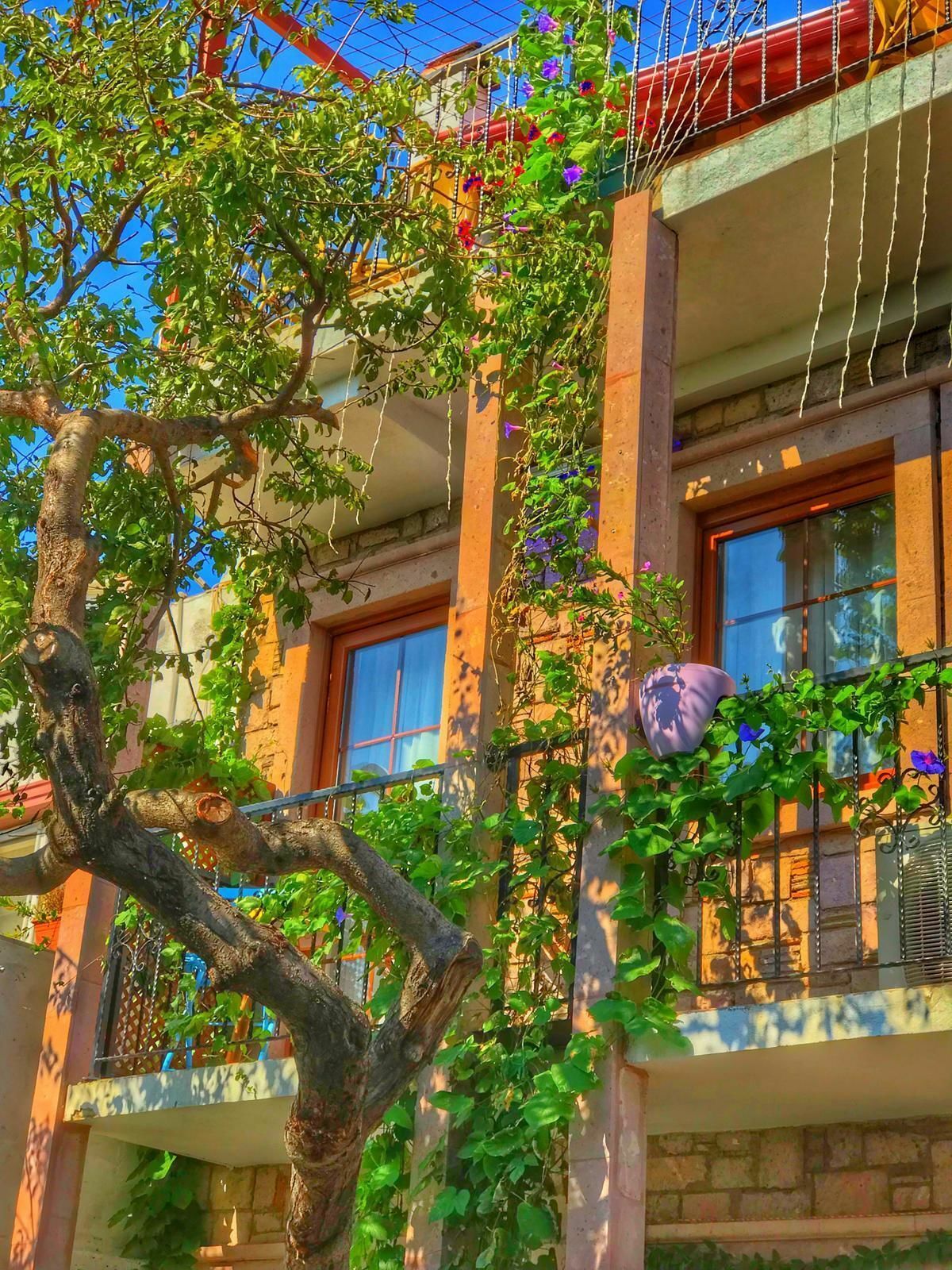 Cunda Thelara Hotel Ayvalı